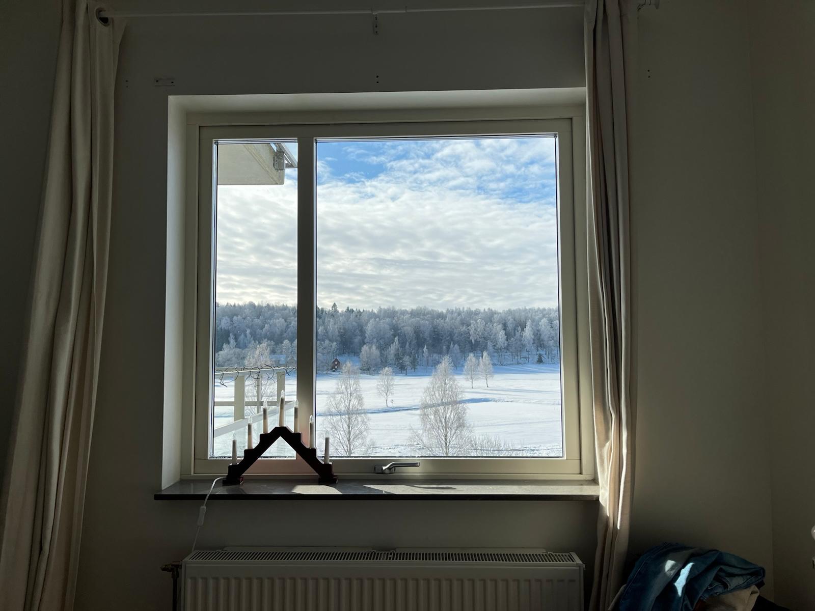 Winter view